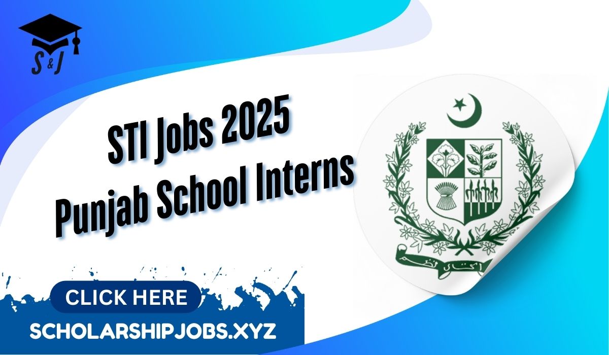 STI Jobs 2025 Portal www.schools.punjab.gov.pk